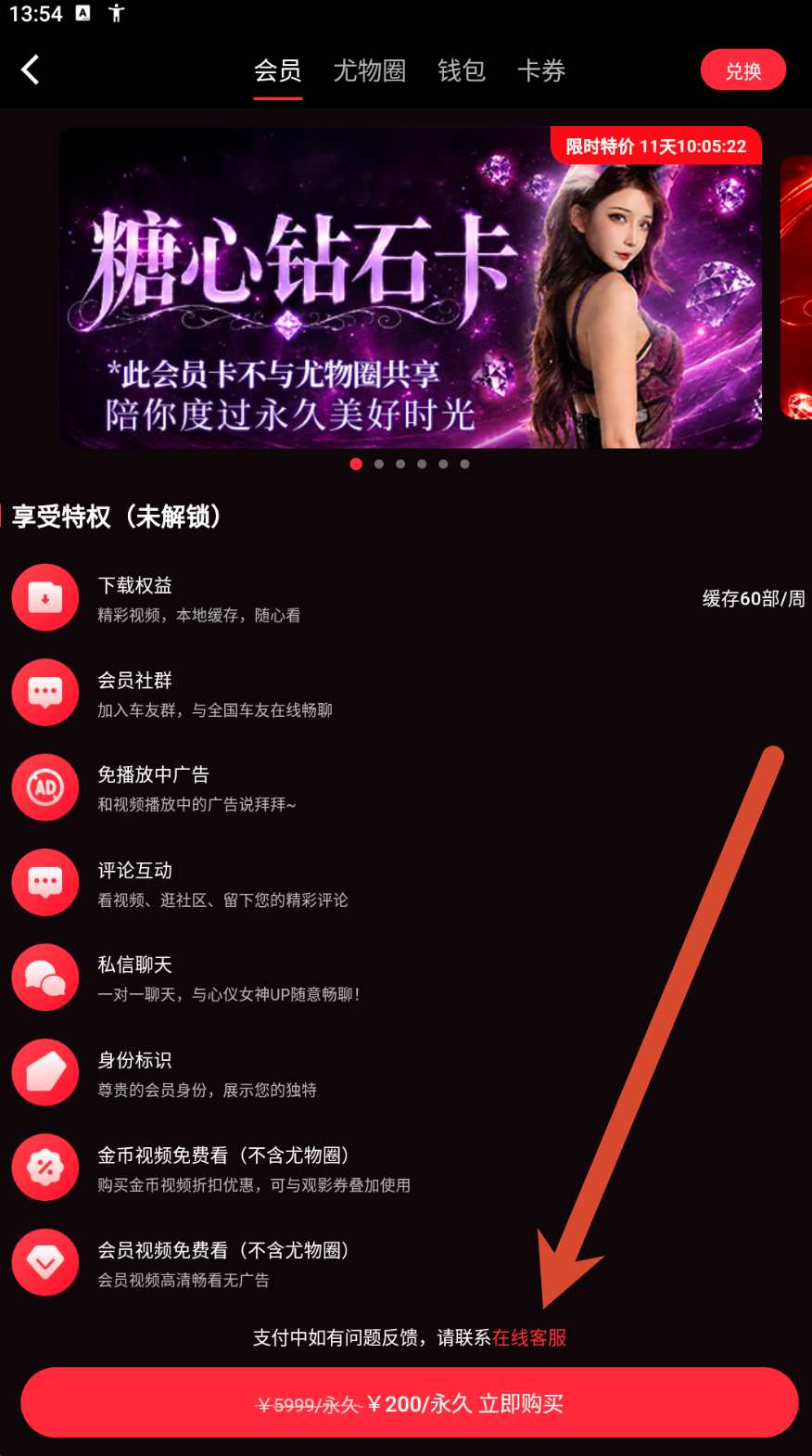 会员权益参考